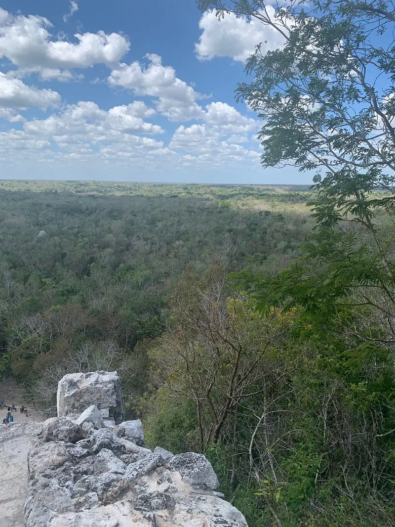 Flat green jungle stretching to the horizon, seen past stones at the top of the pyramid